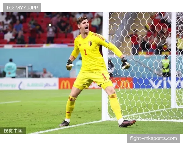 库尔图瓦国家队表现神勇，稳固比利时黄金一代“守护神”地位