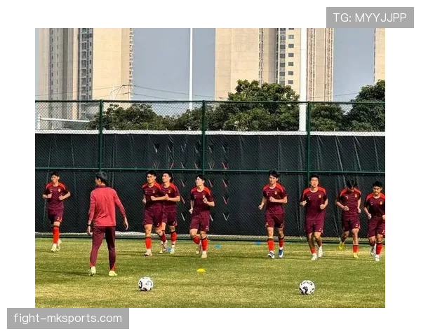 欧洲杯U19青年锦标赛近期战况与球队表现分析